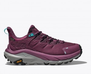 Dark Red HOKA Kaha 2 Low GTX Women's Hiking Shoes | 962538ZNY