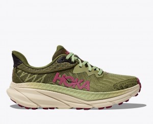 Olive Green HOKA Challenger 7 Women's Trail Running Shoes | 265134PMY