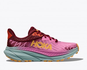 Pink / Dark Red HOKA Challenger 7 Women's Trail Running Shoes | 523849EXY